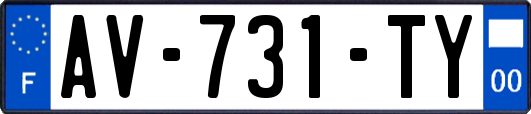AV-731-TY