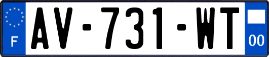 AV-731-WT