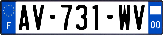 AV-731-WV