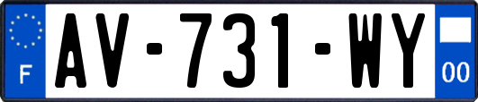AV-731-WY