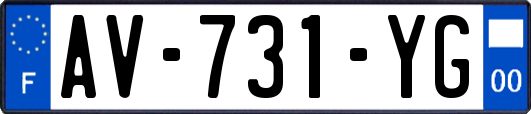 AV-731-YG