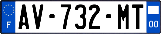 AV-732-MT