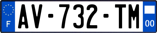 AV-732-TM