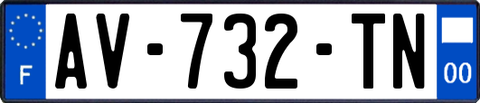 AV-732-TN