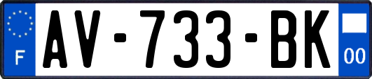 AV-733-BK