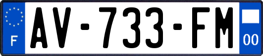 AV-733-FM