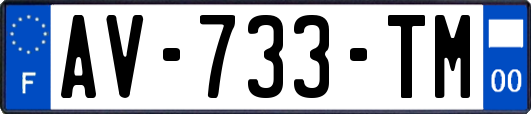 AV-733-TM