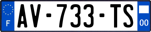 AV-733-TS