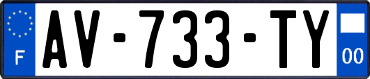 AV-733-TY