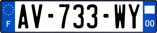 AV-733-WY