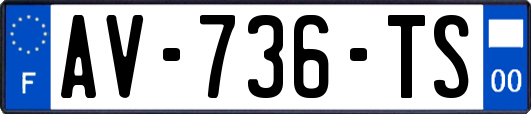 AV-736-TS