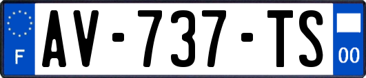 AV-737-TS