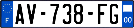 AV-738-FG