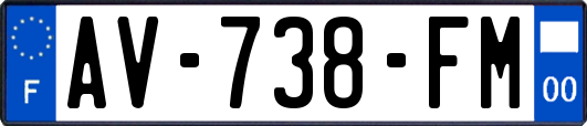 AV-738-FM