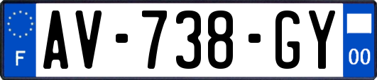 AV-738-GY