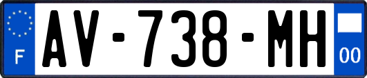 AV-738-MH