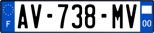 AV-738-MV