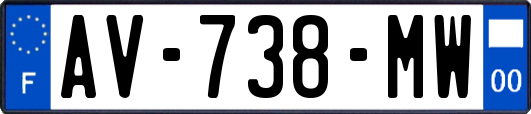 AV-738-MW