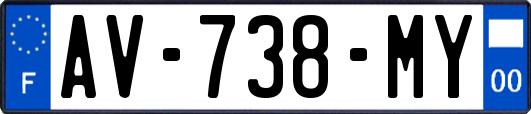 AV-738-MY