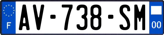 AV-738-SM