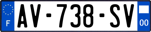 AV-738-SV
