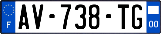 AV-738-TG