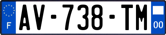 AV-738-TM