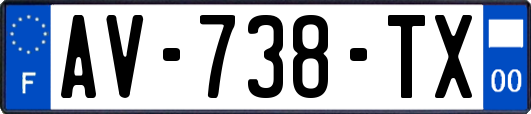 AV-738-TX