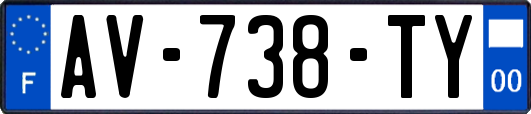 AV-738-TY