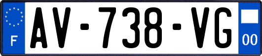 AV-738-VG