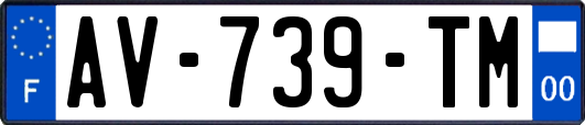 AV-739-TM