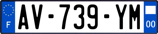 AV-739-YM