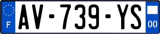 AV-739-YS