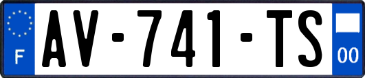 AV-741-TS