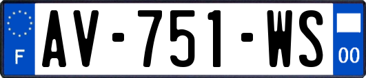 AV-751-WS