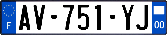 AV-751-YJ