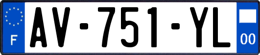AV-751-YL