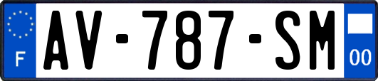 AV-787-SM