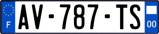 AV-787-TS