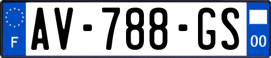 AV-788-GS