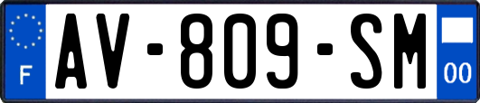AV-809-SM