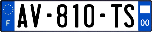 AV-810-TS