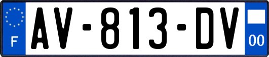 AV-813-DV