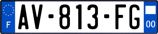 AV-813-FG