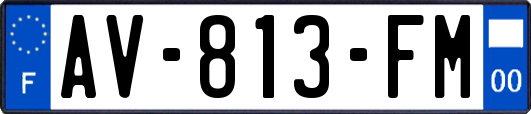 AV-813-FM