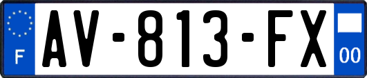 AV-813-FX