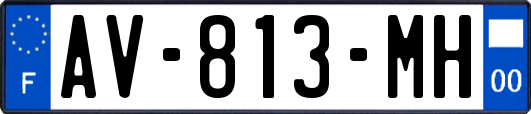 AV-813-MH