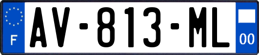 AV-813-ML