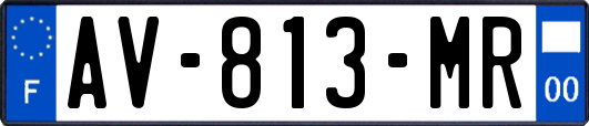 AV-813-MR