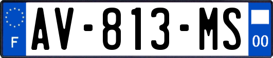 AV-813-MS